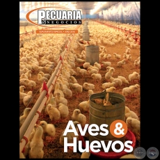 PECUARIA & NEGOCIOS - AÑO 13 SUPLEMENTO ESPECIAL - REVISTA 2016 - PARAGUAY 